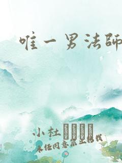 唯一男法师