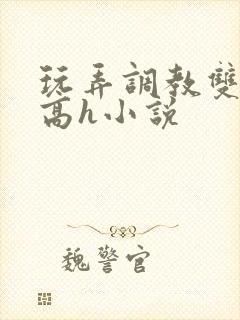 玩弄调教双胞胎高h小说