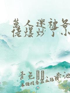 万人迷被各路大佬爆炒了小说