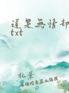道是无情却有情txt