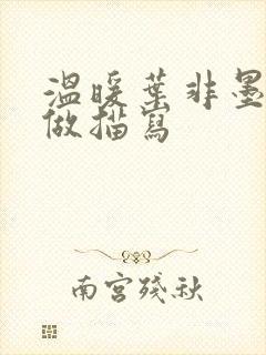 温暖叶非墨车内做描写