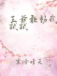 王爷敢动我妈咪试试