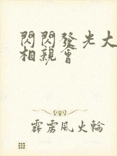 闪闪发光大团圆相亲会