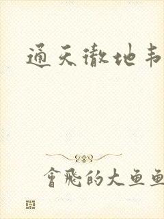 通天彻地韦小宝