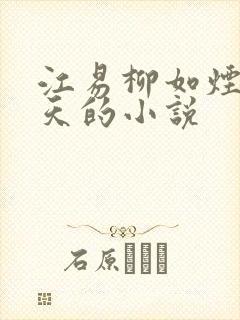 江易柳如烟秦少天的小说