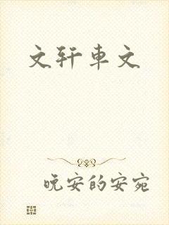 文轩车文