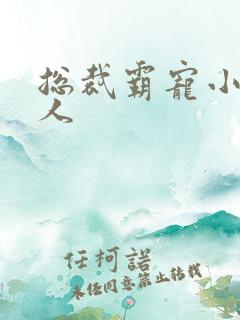 总裁霸宠小小女人