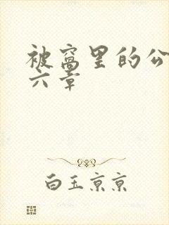 被窝里的公息第六章