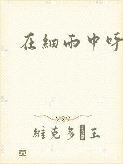 在细雨中呼喊