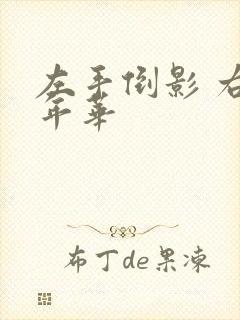 左手倒影 右手年华