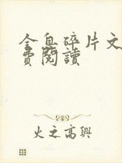 全息碎片文轩免费阅读