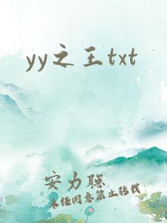 yy之王txt