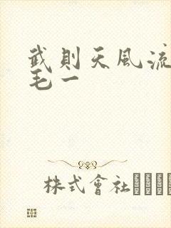 武则天风流艳情毛一