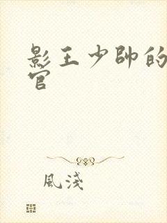 影王少帅的女长官