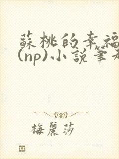 苏桃的幸福生活(np)小说笔趣阁沐沐