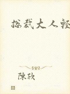 总裁大人轻一点