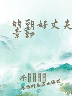 明朝好丈夫最新章节