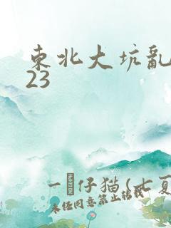 东北大坑乱1—23