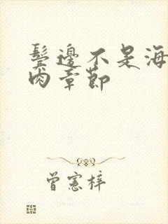 鬓边不是海棠红肉章节