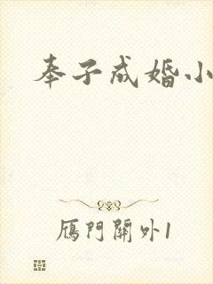 奉子成婚小说