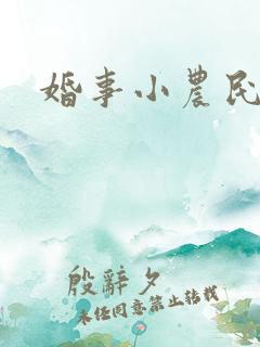 婚事小农民
