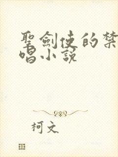 圣剑使的禁咒咏唱小说