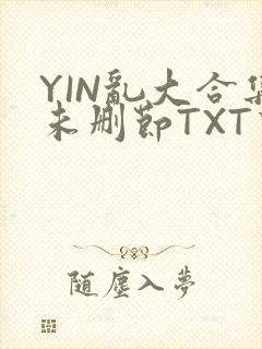 YIN乱大合集未删节TXT下载