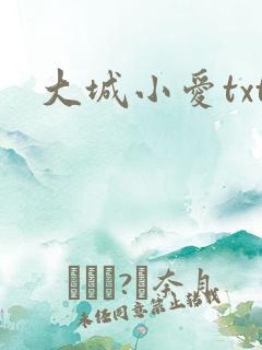 大城小爱txt