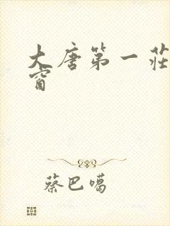 大唐第一庄无弹窗
