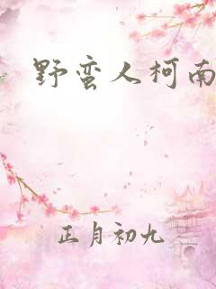 野蛮人柯南小说