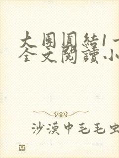 大团圆结1一6全文阅读小说