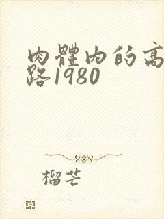 肉体内的高速公路1980