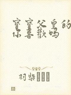 宝宝父皇的东西你喜欢吗