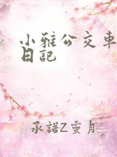 小雅公交车玩具日记