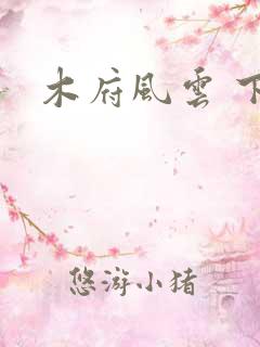 木府风云 下载