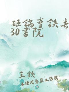 砸锅卖铁去上学30书院