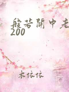 般若关中老人5200