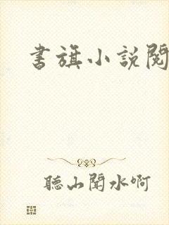 书旗小说阅读网