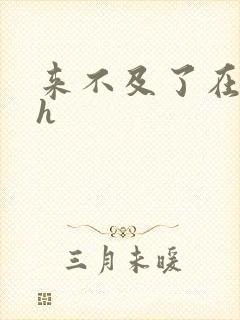 来不及了在车ch