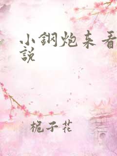 小钢炮来看我小说