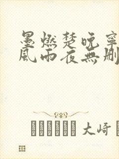 墨燃楚晚宁痴缠风雨夜无删减