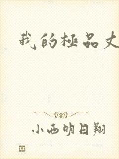 我的极品丈母娘