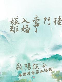 嫁入豪门后我又离婚了