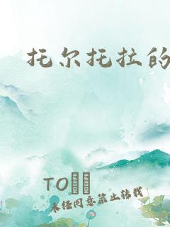 托尔托拉的力量