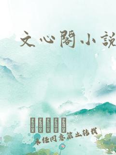 文心阁小说