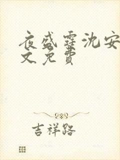 夜盛霆沈安然全文免费