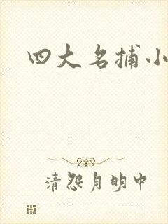 四大名捕小说