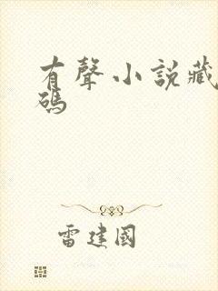 有声小说藏地密码