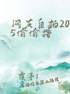 网友自拍2015偷偷撸