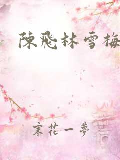 陈飞林雪梅
